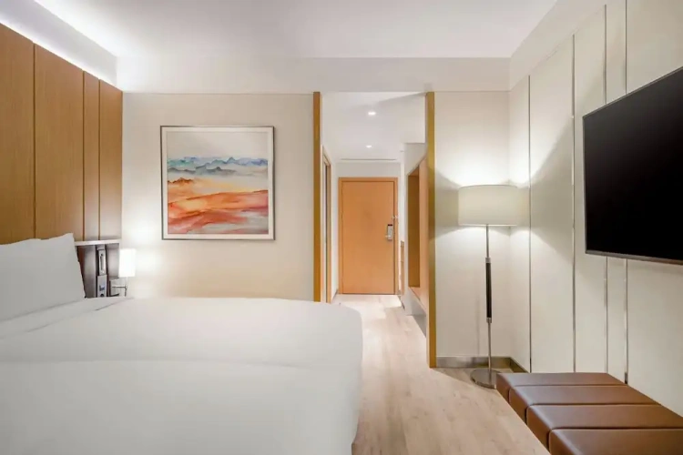 Standard Double room with city view