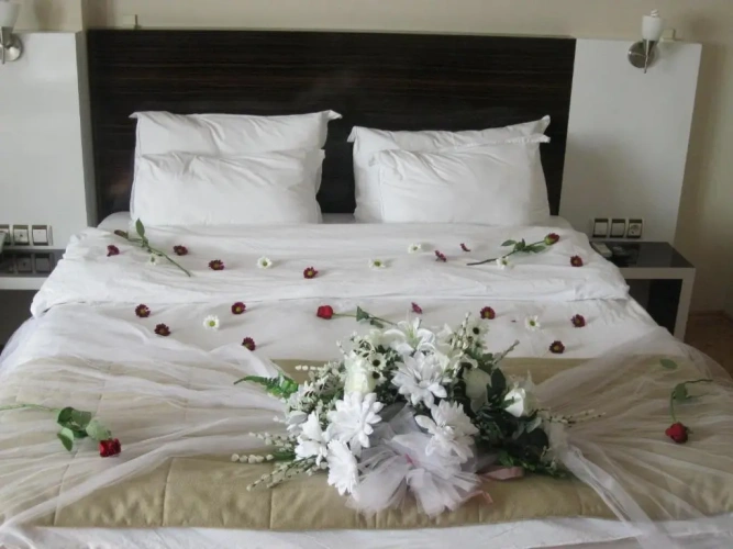 Standard Single room with view
