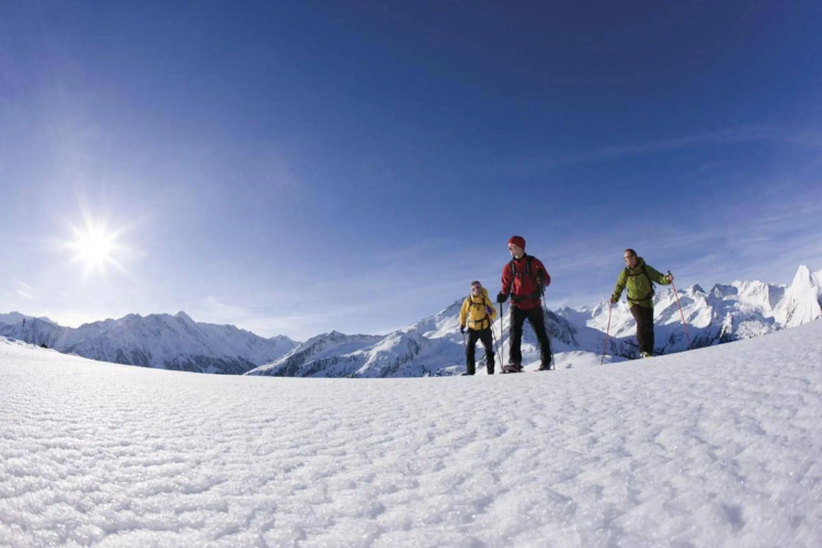 Hotel Alpina photo 24