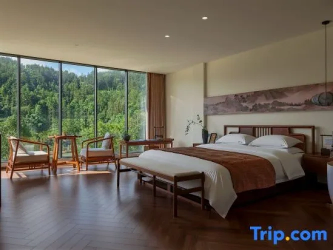 Standard Double room with river view