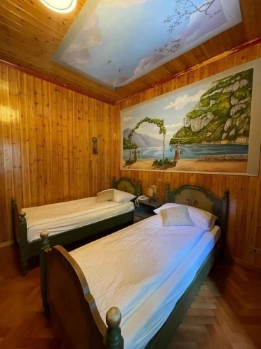 Economy Twin room