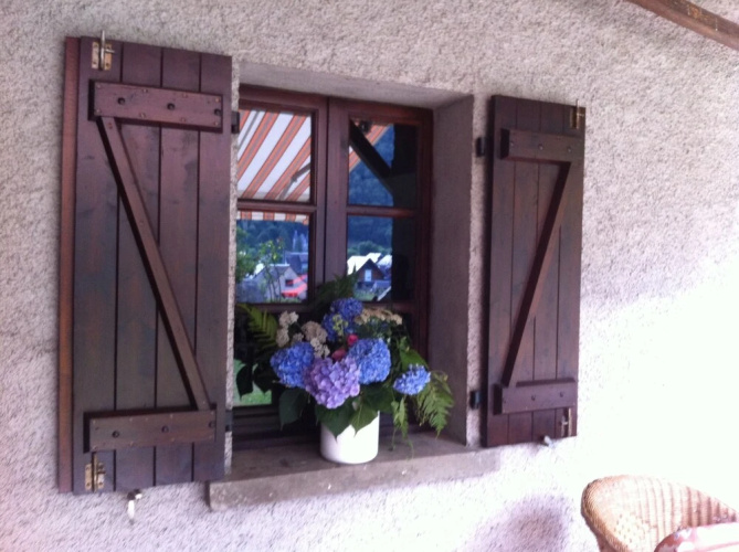 The Dreaming Tree B&B