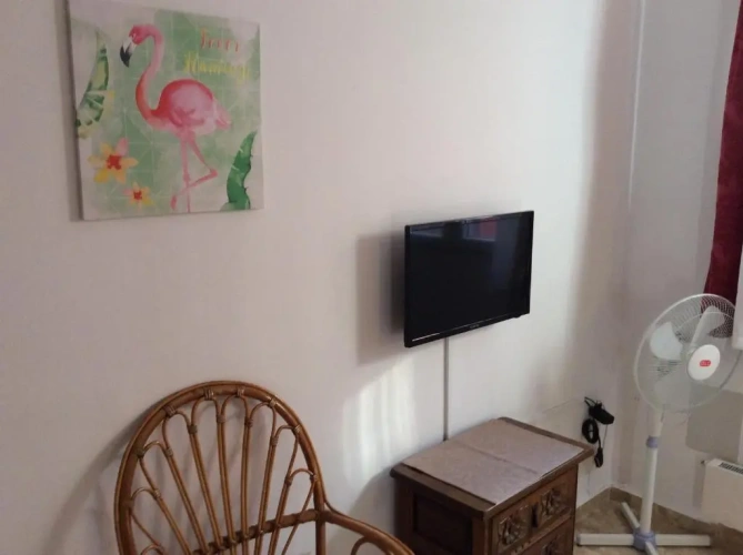Standard Single room with view