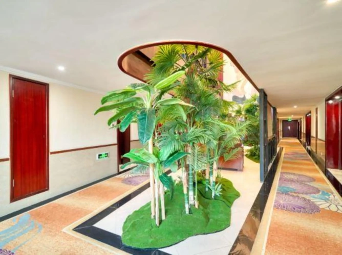 Hotel rooms