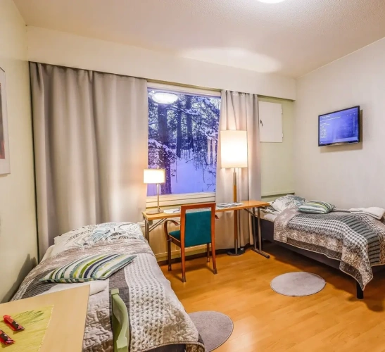Standard Twin room with view