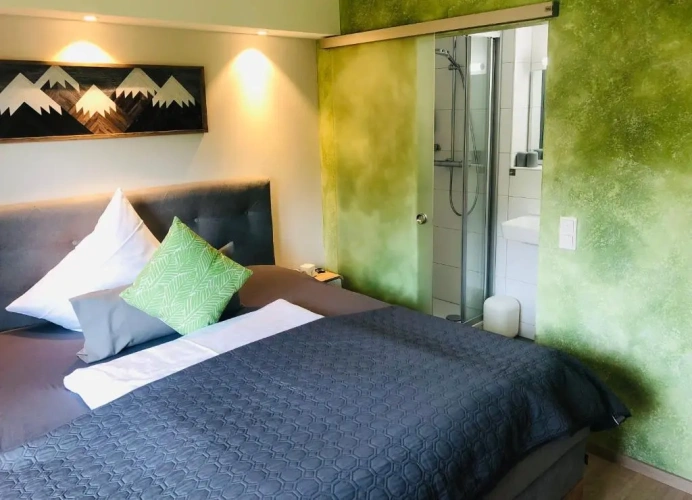 Superior Single room