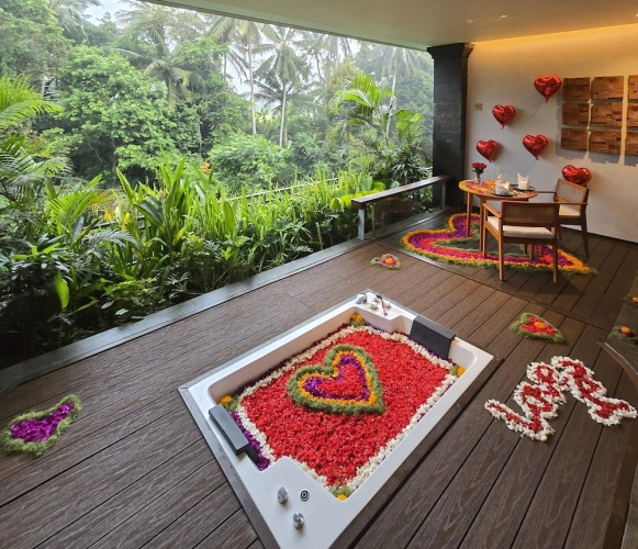 Premium Suite