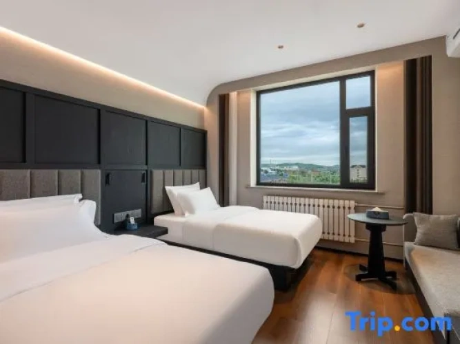 Standard Twin room with land view