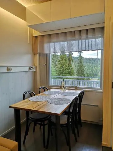 Vuosselin Helmi B21