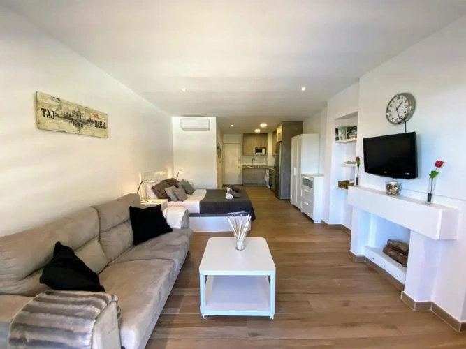 1 Bedroom Apartment