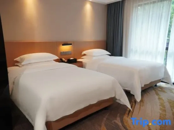Standard Twin room with mountain view