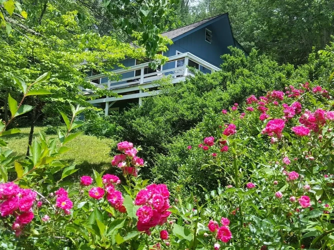 Double Cottage