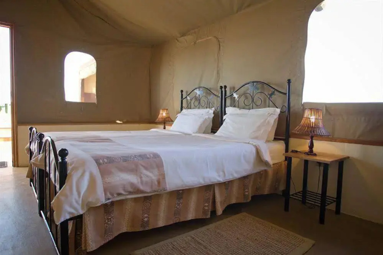 Desert Camp