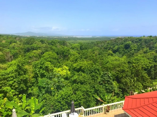 Suite with balcony and with view