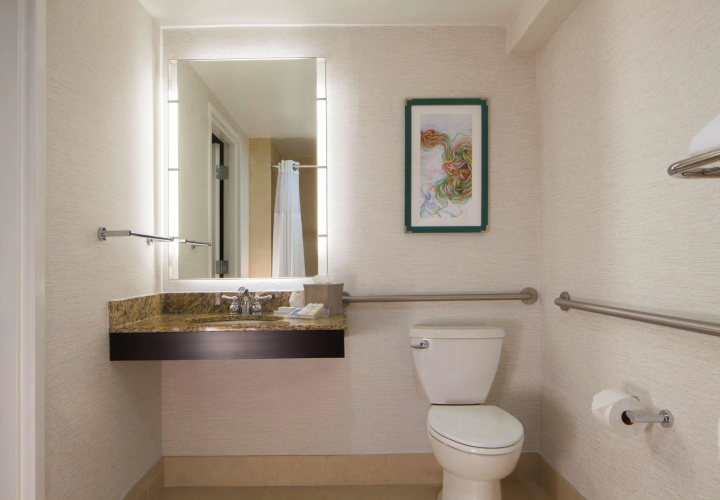 Hilton Garden Inn Austin Downtown/Convention Center photo 8