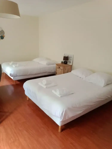 Quadruple Family Studio