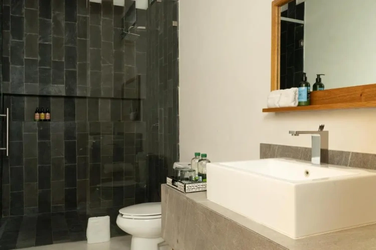 Deluxe Double Suite