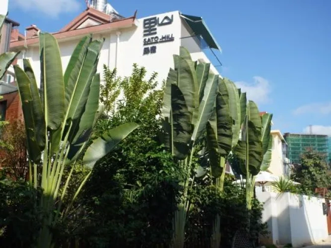 Sato-Hill Homestay