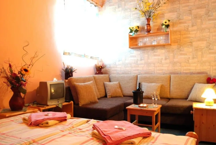 1 Bedroom Suite