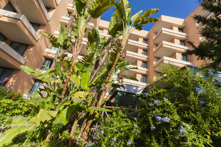 Globales Apartamentos Nova photo 16
