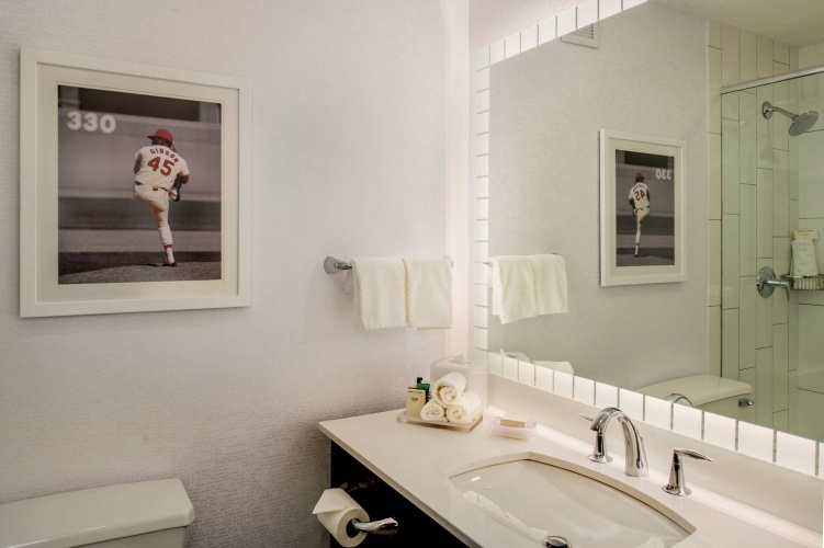 Hilton St. Louis at the Ballpark photo 12