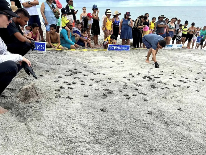 Playa Caracol, a Happy Beach