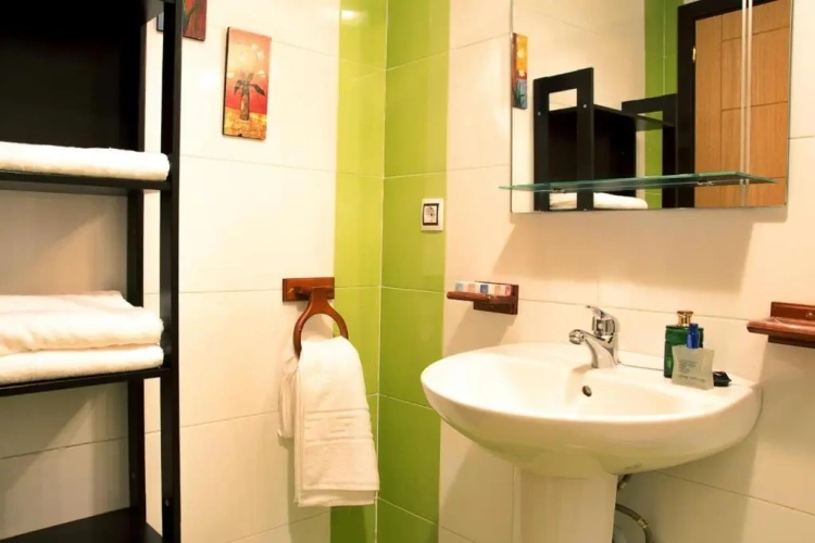 Deluxe Apartment
