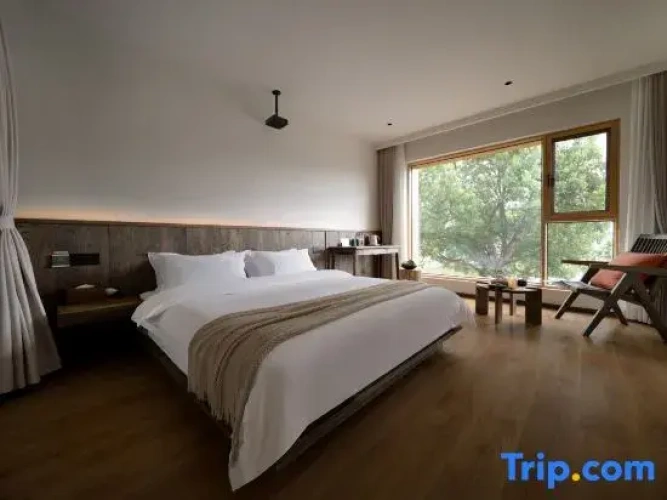 Standard Double room with courtyard view