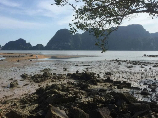 OYO Bulan Anda Baba Resort