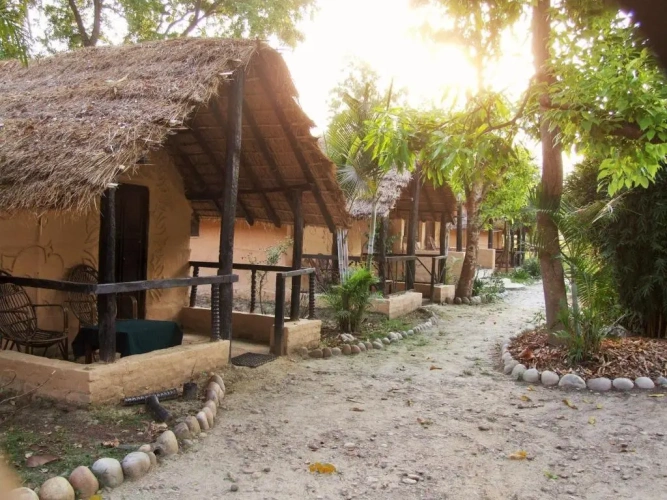 Standard Double room with garden view