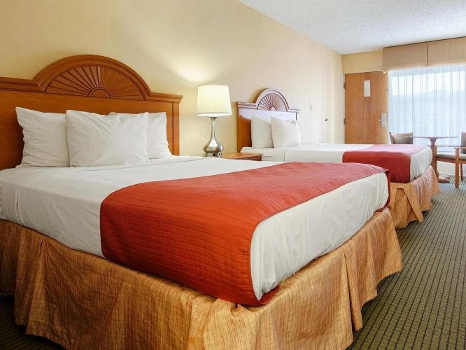 Standard Quadruple room