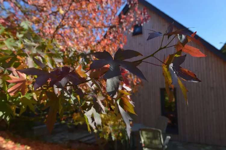 Spring Cottage