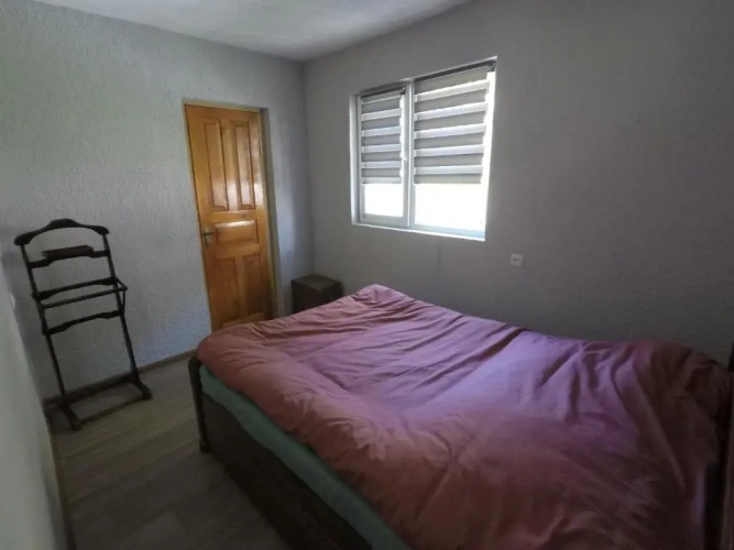Standard Double room with garden view