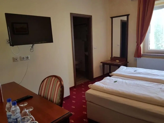 Standard Double room with garden view