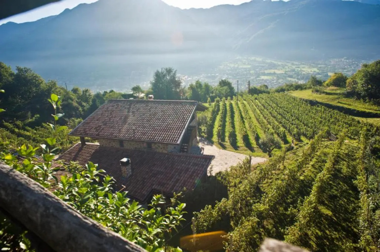 Agriturismo Ruc Del Lac