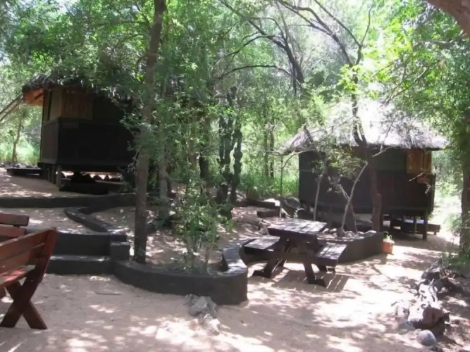 Offbeat Safaris