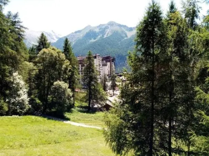 Rental Apartment L'eperviere