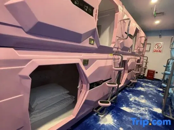 Standard Capsule