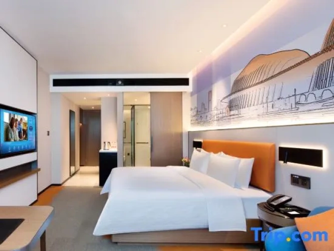 Standard Double Family room