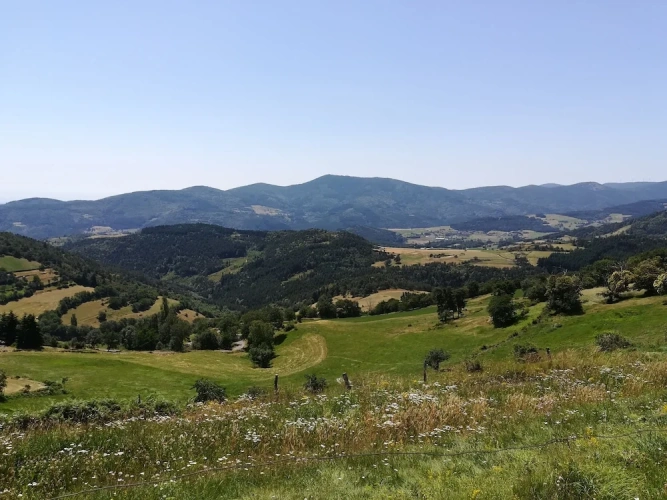 1 Bedroom Comfort Suite with mountain view