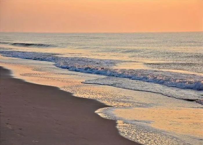 Carolina Dunes - 403