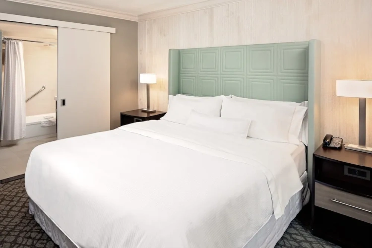 1 Bedroom Junior Suite
