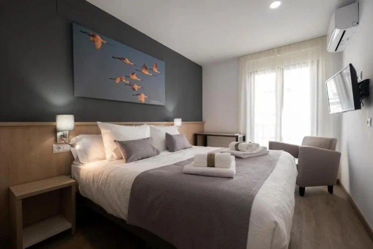 1 Bedroom Apartment
