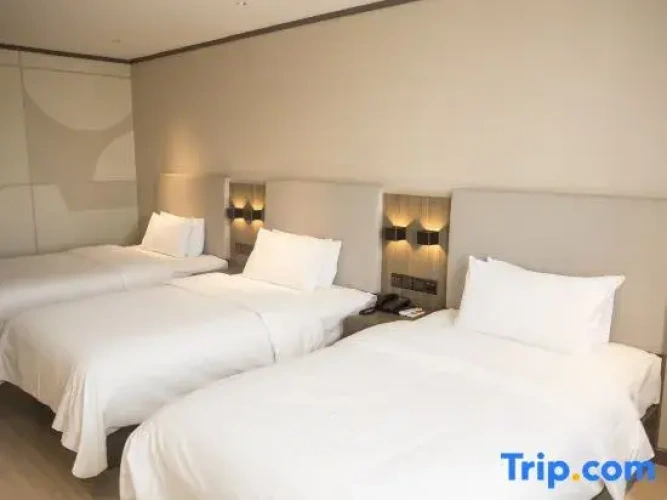 Standard Double room with street view