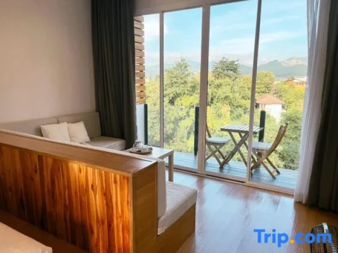 Standard room with balcony and with mountain view