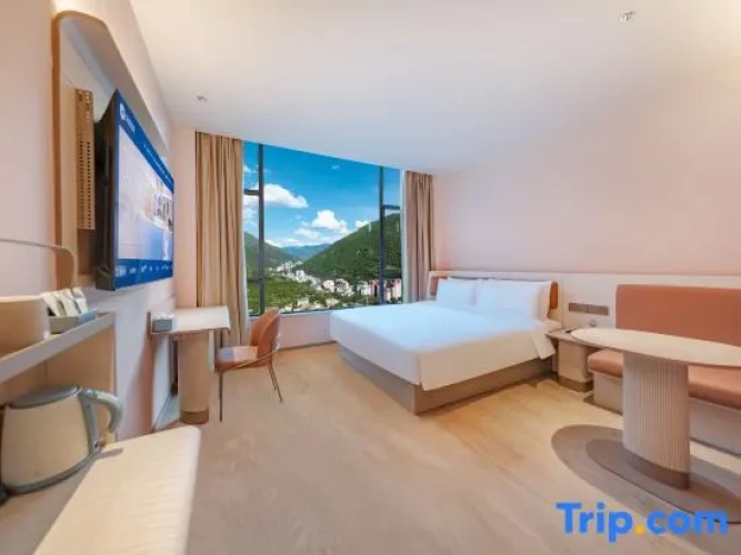 Standard Double room with mountain view