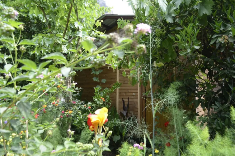 Olympos Mercan Bungalow
