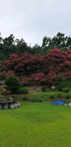 andong yangsodang