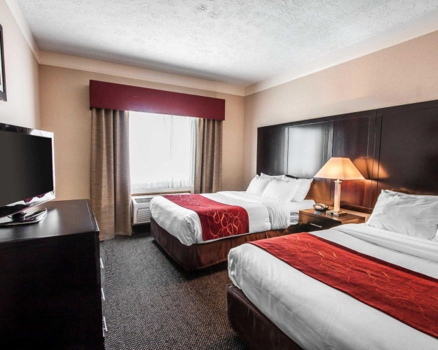 Quadruple Suite