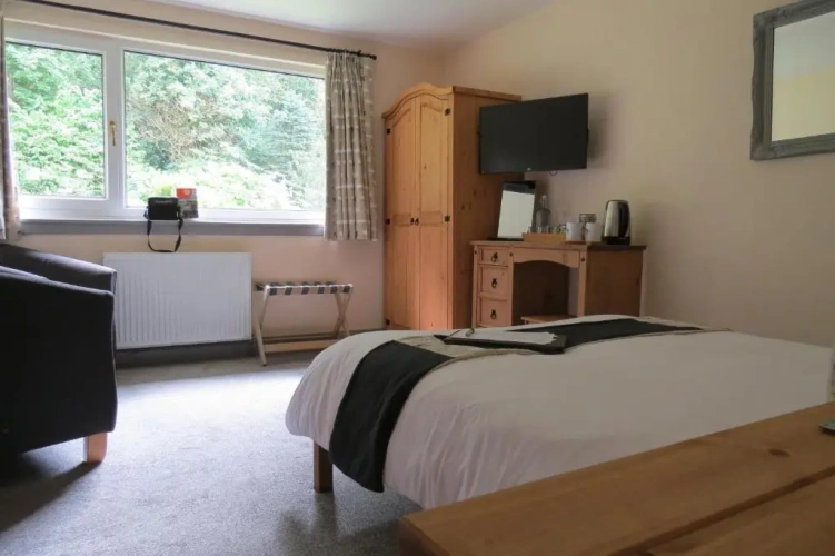 Standard Double room with garden view